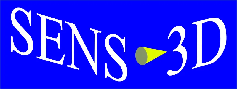 SENS3D